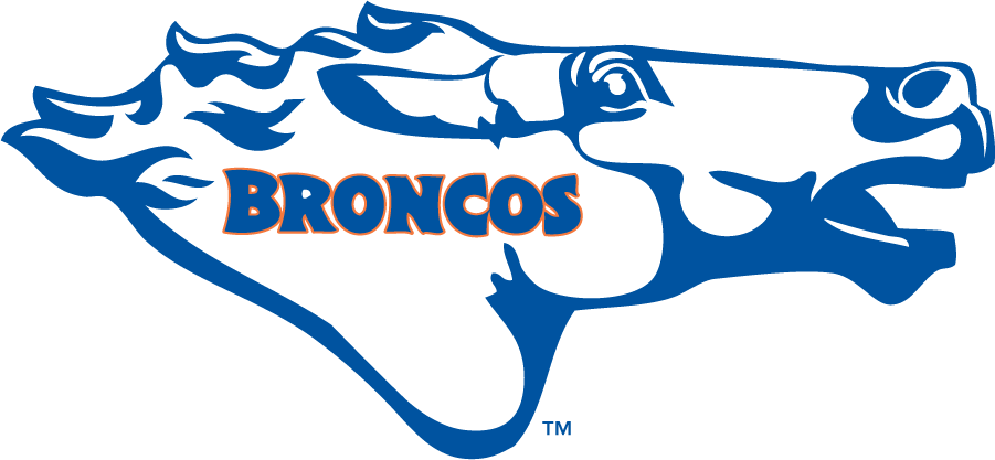 Boise State Broncos 1976-1980 Secondary Logo iron on transfers for clothing